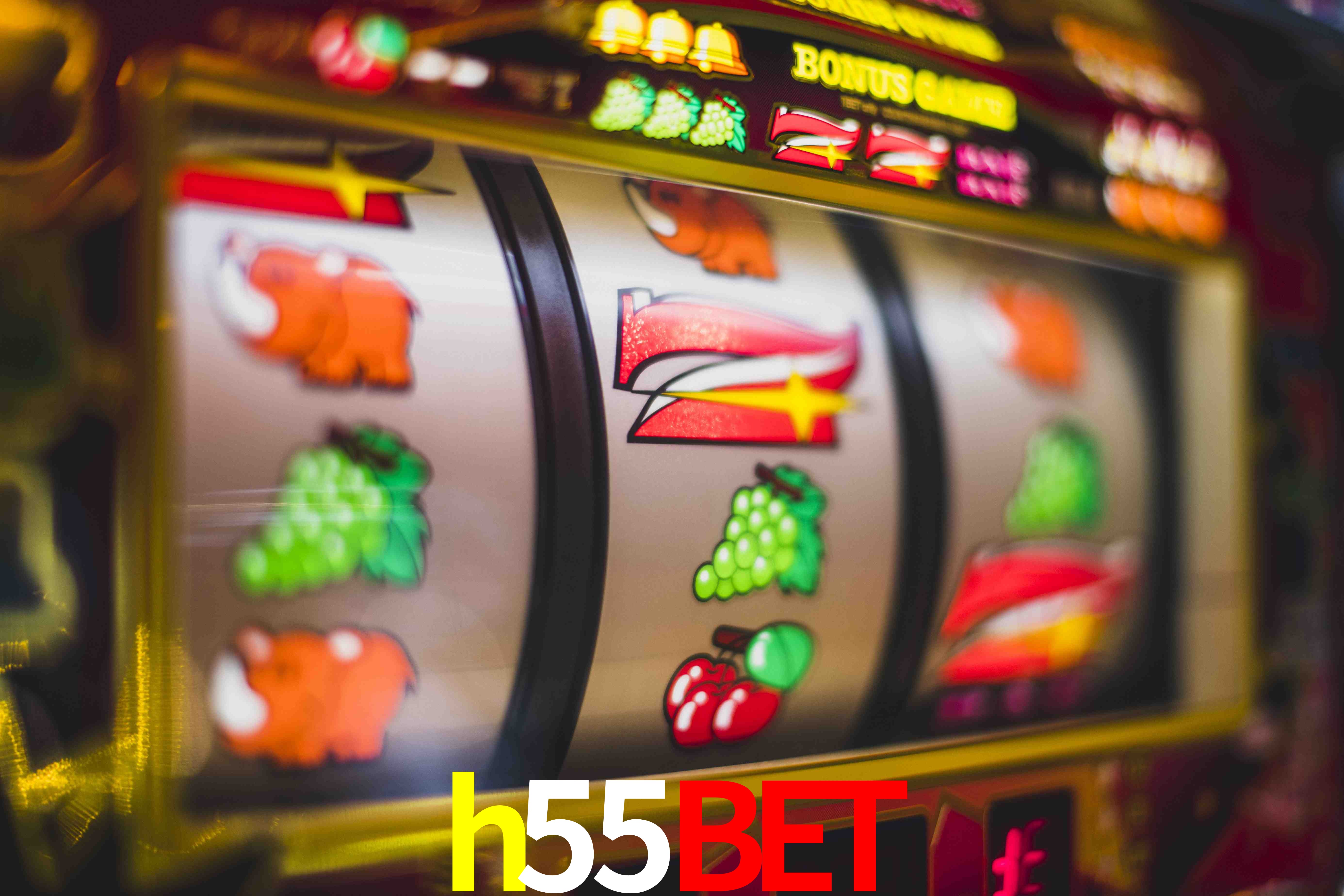 Experiência VIP h55bet