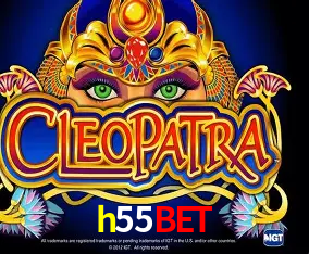 h55bet Curitiba - Live Status